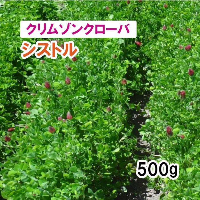 【 飼料用 クリムゾンクローバ 】 シストル （早生） 500g 牧草 栽培用 緑化 種子 カネコ種苗