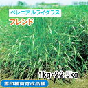 【 飼料用 ペレニアルライグラス 】 フレンド (晩生) 1kg 22.5kg 牧草 放牧 栽培用 緑化 緑肥 種子 雪印種苗