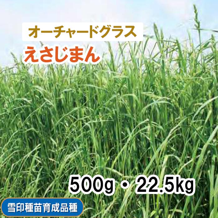 品薄【 飼料用 オーチャードグラス 】 えさじまん （中晩生）PVP 500g 22.5kg 牧草 放牧 採草 栽培用 緑化 緑肥 種子 雪印種苗