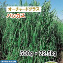 品薄【 飼料用 オーチャードグラス 】 バッカス （晩生）PVP 500g 22.5kg 牧草 放牧 採草 栽培用 緑化 緑肥 種子 雪印種苗