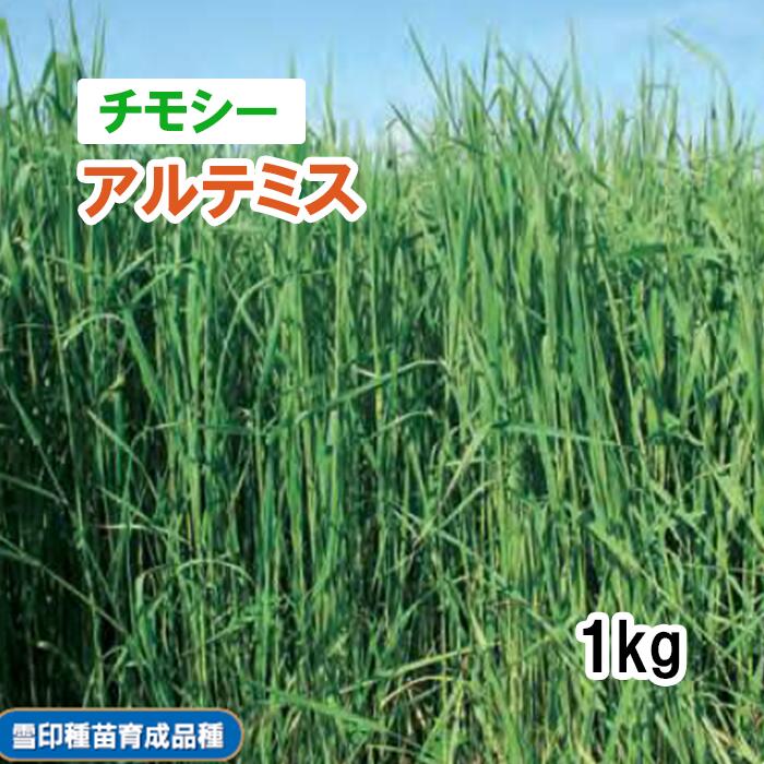 品薄【 飼料用 チモシー 】 アルテミス （早中生）PVP 1kg 牧草 放牧 採草 栽培用 緑化 緑肥 種子 雪印種苗