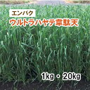 【 飼料用 エンバク 】 ウルトラハヤテ韋駄天(極早生)PVP 1kg 20kg 牧草 放牧 採草 栽培用 緑化 緑肥 種子 雪印種苗