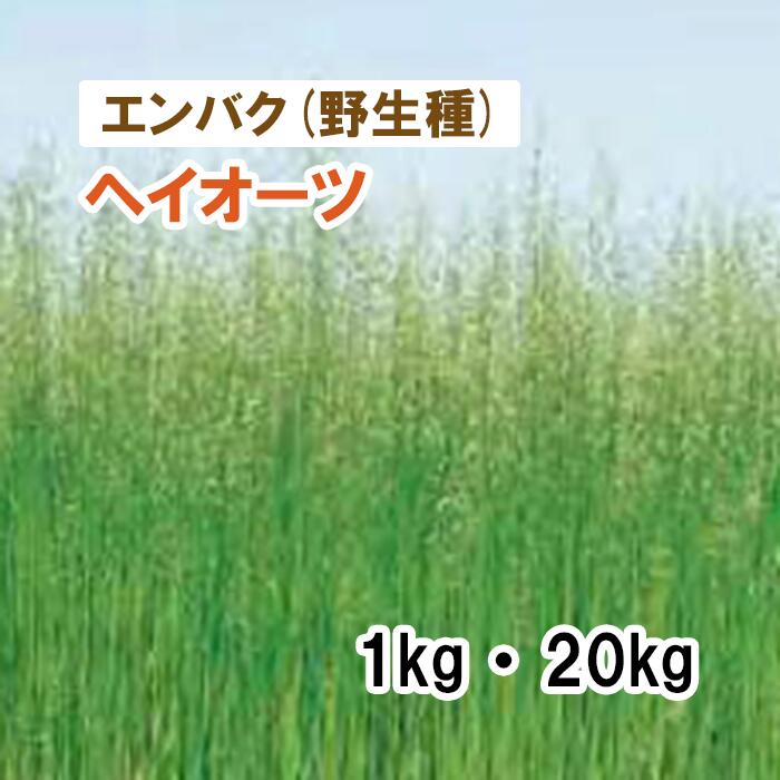 【 飼料用 アウェナ ストリゴサ 】 ヘイオーツ（早生）1kg 20kg 牧草 放牧 採草 栽培用 緑化 緑肥 種子..