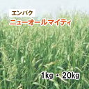 【 飼料用 エンバク 】 ニューオールマイティ（中生）1kg 20kg 牧草 放牧 採草 栽培用 緑化 緑肥 種子 雪印種苗