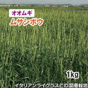 【 飼料用 オオムギ 】 ムサシボウ(中生)1kg 牧草 放牧 採草 栽培用 緑化 緑肥 種子 雪印種苗