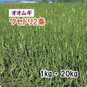 【 飼料用 オオムギ 】 ワセドリ2条(極早生)1kg 20kg 牧草 放牧 採草 栽培用 緑化 緑肥 種子 雪印種苗