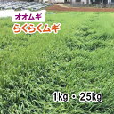 【 飼料用 オオムギ 】らくらくムギ 1kg 25kg 牧草 放牧 採草 栽培用 緑化 緑肥 種子 雪印種苗