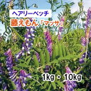 品薄【 飼料用 ヘアリーベッチ 】藤えもん 「 マッサ 」（早生） 1kg 10kg 牧草 放牧 採草 栽培用 緑化 緑肥 種子 雪印種苗