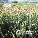【 飼料用 アワ 】 ジャーマンストレインR(極早生)1kg 20kg 牧草 放牧 栽培用 緑化 緑肥 種子 雪印種苗
