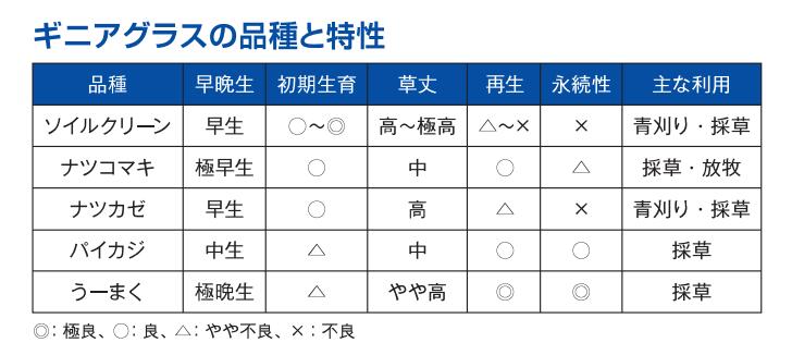  ナツカゼ（早生）1kg 牧草 放牧 栽培用 緑肥 種子 雪印種苗