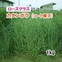 ※コート種子※【 飼料用 ローズグラス 】 カタンボラ 1kg 牧草 放牧 栽培用 緑化 緑肥 種子 雪印種苗