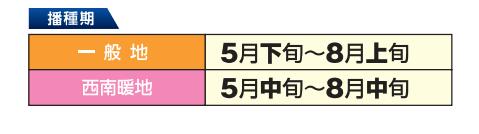 26秋在庫限り【 飼料用 バヒアグラス 】 ナンオウ （中生） 1kg 牧草 放牧 栽培用 緑化 緑肥 種子 雪印..