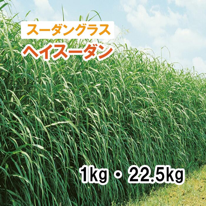 【 飼料用 スーダングラス 】 ヘイスーダン （極早生） 1kg 22.5kg 牧草 放牧 栽培用 緑化 緑肥 種子 雪印種苗