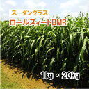 【 飼料用 スーダングラス 】 ロールスィートBMR (極早生)1kg 20kg 牧草 放牧 栽培用 緑化 緑肥 種子 雪印種苗