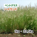 【 緑化用 ベントグラス 】 ハイランド 1kg 22.5kg 牧草 放牧 栽培用 飼料用 緑肥 種子 雪印種苗