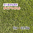 25春在庫限り【 芝生用 緑化用 トールフェスク 】 ダイナマイトLS 1kg 22.5kg 牧草 放牧用 栽培用 緑肥 種子 雪印種苗