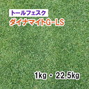 【 芝生用 緑化用 トールフェスク 】 ダイナマイトG-LS 1kg 22.5kg 牧草 放牧用 栽培用 緑肥 種子 雪印種苗
