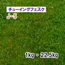 【 芝生用 緑化用 チューイングフェスク 】 J-5 1kg 22.5kg 牧草 放牧用 栽培用 緑肥 種子 雪印種苗