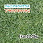 【 芝生用 緑化用 ペレニアルライグラス 】ブラックキャット2 1kg 22.5kg 牧草 放牧用 栽培用 緑肥 種子 雪印種苗