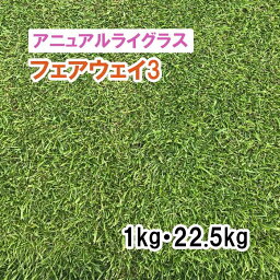 【 芝生用 緑化用 アニュアルライグラス 】フェアウェイ®3 / クイックドロー 1kg 22.5kg 牧草 放牧用 栽培用 緑肥 種子 雪印種苗