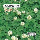 【 緑肥用 シロクローバ 】 フィア 500g 牧草 放牧 採草 栽培用 飼料用 緑化 種子 タキイ種苗