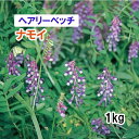 【 緑肥用 ヘアリーベッチ 】 ナモイ (早生) 1kg 牧草 放牧 採草 栽培用 飼料用 緑化 種子 タキイ種苗