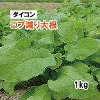 【 緑肥用 ダイコン 】 コブ減り大根 1kg 牧草 放牧 採草 栽培用 飼料用 緑化 種子 タキイ種苗