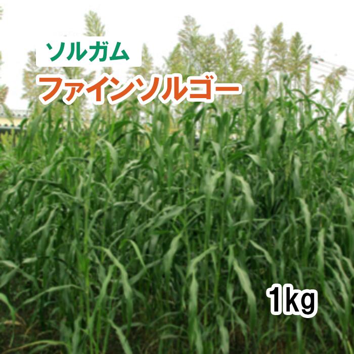 Ź٥饤㤨֡  륬  ե󥽥르 1kg     в  ͥġפβǤʤ1,375ߤˤʤޤ