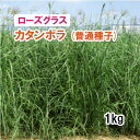 ※普通種子※【 飼料用 ローズグラス 】 カタンボラ (2倍体中生) 1kg 牧草 放牧 採草 緑化 栽培用 種子 カネコ種苗
