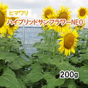 【 景観形成 ヒマワリ 】ハイブリッドサンフラワーNEO（春～夏まき）牧草 放牧 採草 緑化 栽培用 花 種子 カネコ種苗