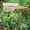 品薄【 景観形成 ミックスフラワー 】 カネコミックスフラワー ハイタイプ （春・秋まき） 450g 牧草 放牧 採草 緑化 栽培用 花 種子 カネコ種苗