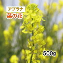 【 景観形成 緑肥 種 アブラナ 】 菜の花 （秋まき） 500g 放牧 採草 栽培用 緑化 花 種子 カネコ種苗