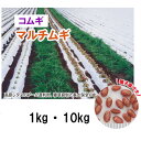 【 緑肥用 コムギ 】 マルチムギ ® （遅枯れ）1kg 10kg 小麦 栽培用 種子 カネコ種苗