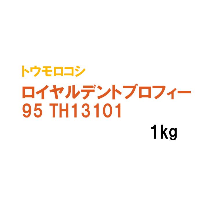 ѥȥ ݤβ