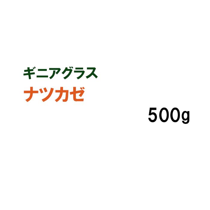  ナツカゼ 500g 牧草 放牧 採草 栽培用 芝生 ゴルフ場 競技場 緑化 種子 タキイ種苗