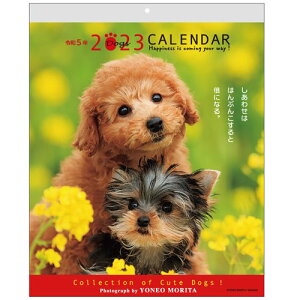 壁掛けカレンダー2023年 2023 Calendar 森田米雄 メッセージカレンダーDOG スケジュール いぬ アクティブコーポレーション 動物写真 書き込み インテリア 令和5年暦 予約