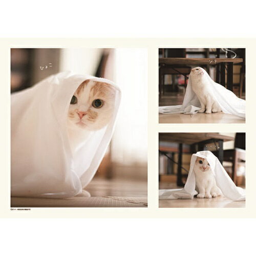 壁掛けカレンダー2023年 2023Calendar ポッケ スケジュール ねこ APJ 動物写真 書き込み インテリア 令和5年暦 予約