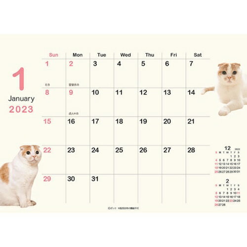 卓上カレンダー2023年 2023Calendar ポッケ スケジュール ねこ APJ 動物写真 書き込み インテリア 令和5年暦 予約 メール便可