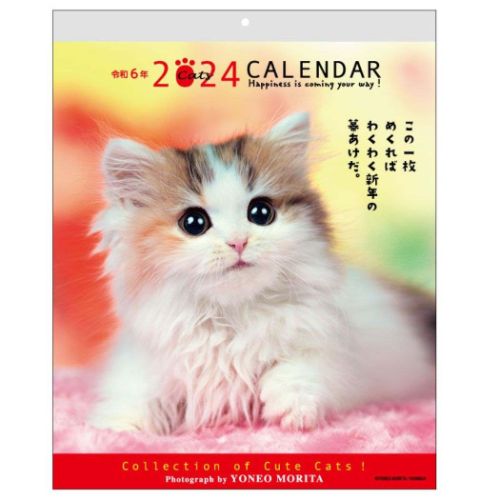 壁掛けカレンダー2024年 2024 Calendar 森田米雄 メッセージカレンダーCAT スケジュール ねこ アクティブコーポレーション 動物写真 書き込み インテリア 令和6年暦