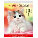 壁掛けカレンダー2024年 2024 Calendar 森田米雄 メッセージカレンダーCAT スケジュール ねこ アクティブコーポレーション 動物写真 書き込み インテリア 令和6年暦 予約デザインいろいろお気に入りのカレンダーみつかる可愛い猫たちが、疲れた心を癒してくれて、励ましてくれる…そんなメッセージがたくさん詰まった[森田米雄 メッセージカレンダー]ネコたちの表情豊かな写真とメッセージの組み合わせによって、ユニークな味わいのあるカレンダーになっています。サイズ：300x375mm仕様：13枚壁掛け用（六曜入り）▼