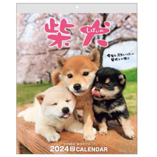 壁掛けカレンダー2024年 2024 Calendar 森田米雄 まるごと柴犬 スケジュール いぬ アクティブコーポレーション 動物写真 書き込み インテリア 令和6年暦