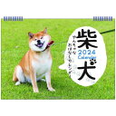 壁掛けカレンダー2024年 2024Calendar 柴犬やんちゃなおはなしカレンダー B5 いぬ APJ 動物写真 書き込み インテリア 令和6年暦 予約デザインいろいろお気に入りのカレンダーみつかる柴犬たちの愉快なお話しに笑顔になれる2024年カレンダーカレンダーにはスケジュールも書き込めるので使い勝手もGOODサイズ：257x182mm仕様：14枚壁掛け用▼