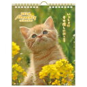 壁掛けカレンダー2026年 2026 Calendar CATマンスリー スケジュール ねこ アクティブコーポレーション 動物写真 書き込み インテリア 令和8年暦 メール便可
