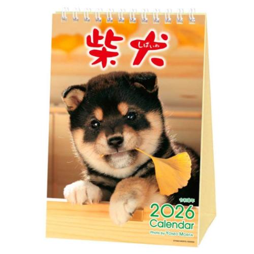卓上カレンダー2026年 2026 Calendar 森田米雄 まるごと柴犬 スケジュール いぬ アクティブコーポレー..