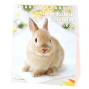 卓上カレンダー2026年 2026 Calendar Sweet Rabbit スケジュール うさぎ アクティブコーポレーション 動物写真 書き込み インテリア 令和8年暦 メール便可