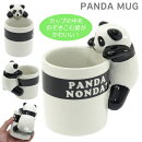 PANDAѥޥåסƫˡ