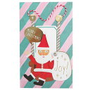 スライドフェルトカード クリスマスカード サンタクロース グリーン APJ Xmas 封筒付き ギフト 雑貨 メール便可 ベルコモン