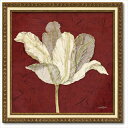 Art Frames チューリップウィズレッド ダイアン スティムソン フラワー アート 花 額付きポスター インテリアグッズ 取寄品