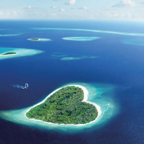 Petit Canvas Art 写真 アート プチ キャンバスアート ハートアイランド 美工社 フレームレス ギフト 装飾インテリア 取寄品 ベルコモン