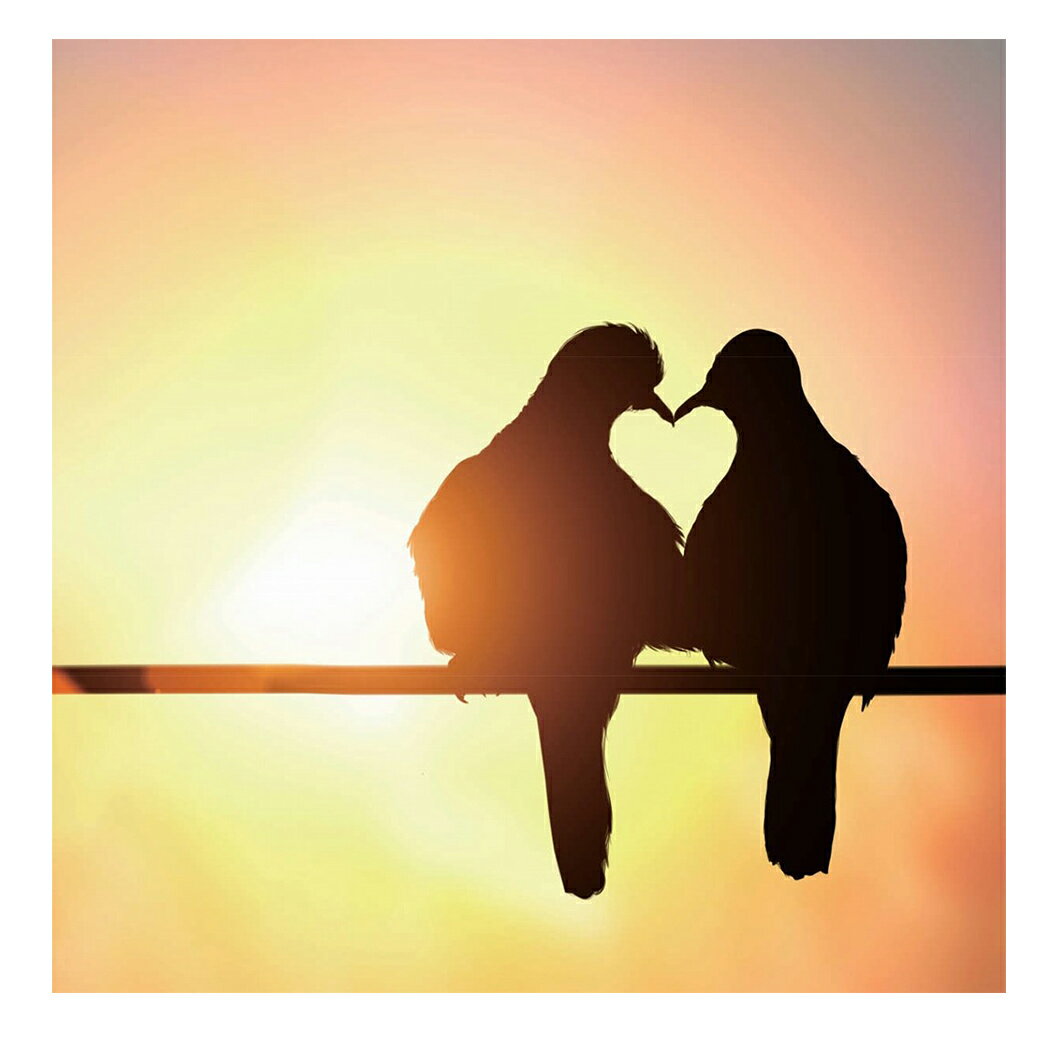 Petit Canvas Art 写真 アート プチ キャンバスアート ハートピジョン 美工社 フレームレス ギフト 装飾インテリア 取寄品 ベルコモン